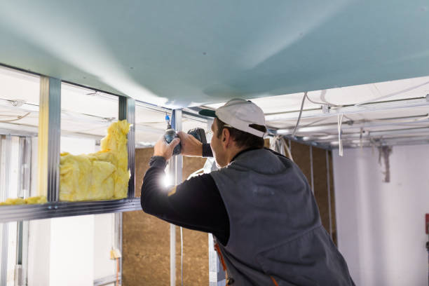 Best Professional Insulation Contractor  in Italy, TX