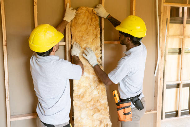 Best Insulation for New Construction  in Italy, TX